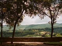 뭉션 햄션 / Buona fortuna