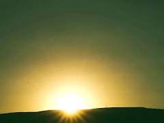 탑을 오르는 마음으로