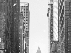 치사량의 오열 : 후원(1)