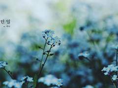 [미네시마] 있었던 일