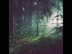 당신을 만난 건