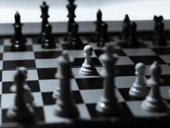 [하화원][N] Your pawn