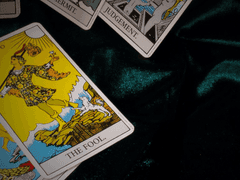 홈페이지 커미션