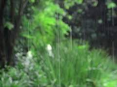 카이토 - 送り梅雨 보내는 장마