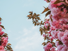 글 정리합니다!