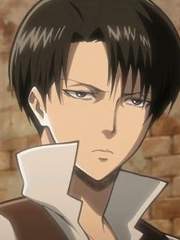 조사병단에 들어간 너 X 리바이 드림