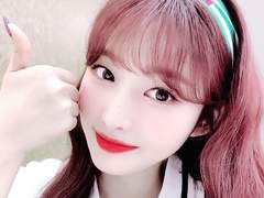 벚꽃 페수디 PSD