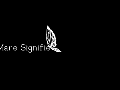 # 마레 시니피에