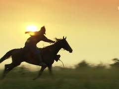 봉황(鳳凰) 24 : 속함성