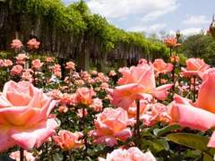 2021 04 23 금요일