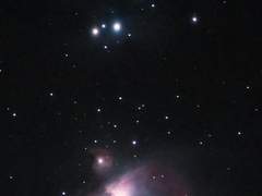 Hester E. Fabraham/ XX / 테르엔