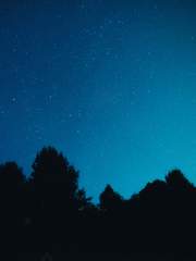 괴도의 탄단지 식단