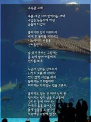 선택 그러나 선택
