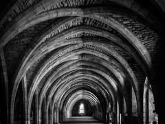 보가트, 그 이후.