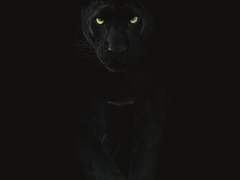 [중혁독자] KISS KISS BANG BANG 03 - 04