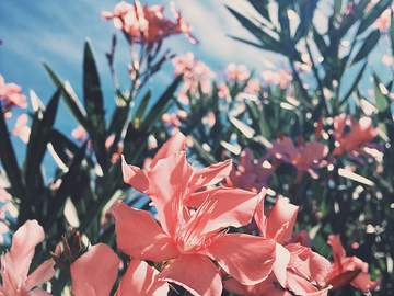 [사마이치] SHiNE