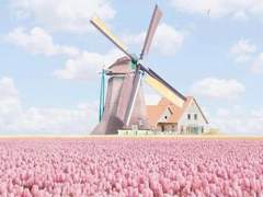 2021 04 24 토요일