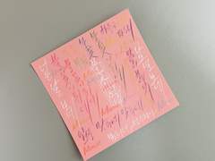 봄처녀, 선우정아