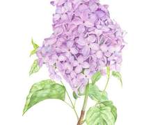 [별이삼샵] 오늘의 이야기 데일리 무료 공유