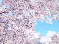 [야마자키켄토/사카구치켄타로/아라타맛켄유] 나의 첫사랑을 너에게 바친다. (僕の初恋をキミに捧ぐ)|로망&보리