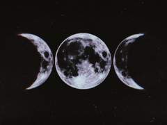 어느 날의 피아노 리사이틀