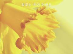 [마들에슾] 사랑에 답하는 한가지 방법 (말로는 하기 어려운) 2