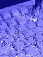 그 시절, 우리가 좋아했던