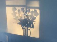 오랜만이에요 :)