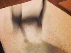 컨트리 음악에서 현악기 소리를 빼지 않으면 당장 쏘겠다