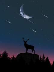 져가는 달, 그믐에서 온 에세이