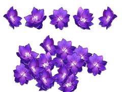 [무료배포] 벨라도나 꽃 브러쉬