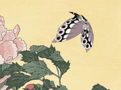 설원 버터플라이 랑데부