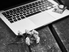 생존일지 그 이후