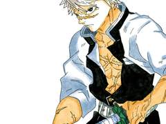 시나즈가와 사네미