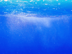 규칙이 괜히 있는 게 아닙니다.