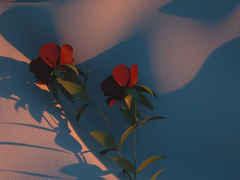 렌고쿠 쿄쥬로 유사 썰 (1)