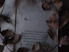 遺書, 煉獄 杏寿郎. (유서, 렌고쿠 쿄쥬로)