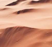 초이무영 사막금화