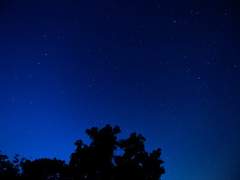 [생존일지] I wish your Future