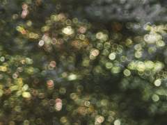 일반 커미션 안내 (Closed)