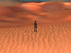 어느 스켈레톤의 새로운 삶(1)