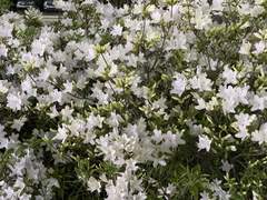 그런 너에게 해줄 수 있는 게 없다는 걸 이제서야 깨달았다