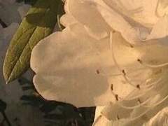 한 아이의 메모장 .