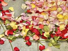 사랑이 사랑을 관통하는 밤