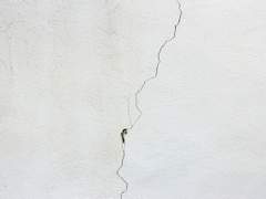 [워킹데드/니건릭] Damaged goods