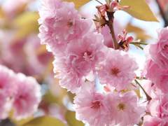 , 피어나다. _작은 시작