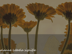 마흔 세번째 답장