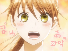 아라치하 개연성은 온다(6)