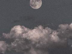 영원한 새벽의 경계에서