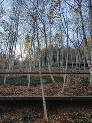 본드가 죽어있던 동안 혼자 애 키운 큐